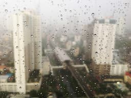 Hộp Hoa Cẩm Tú Cầu Hồng Tím 2