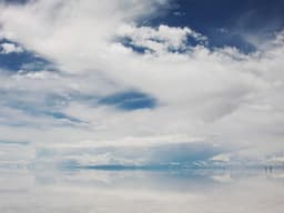 Bó Hoa Hướng Dương Vui Tươi 1